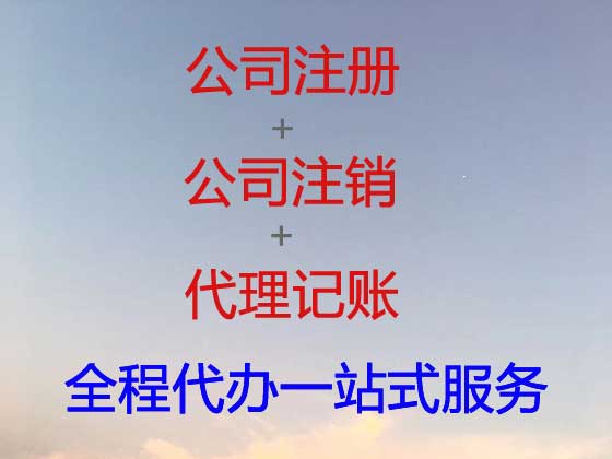 嘉兴公司个体工商户注册-公司减资变更
